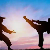 آموزش کونگ فو