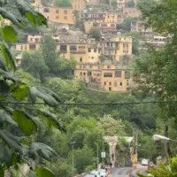 تورتفریحی ویژه بانوان