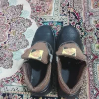 کفش ایمنی کار