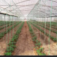 فروش گلخانه