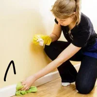 نظافتچی منزل خانم