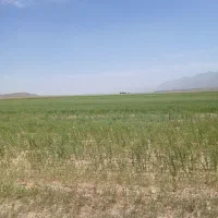 فروش زمین کشاورزی با چاه اختصاصی