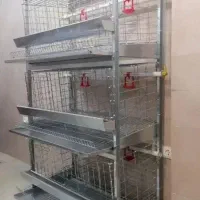 قفس مرغ