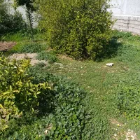 زمین-مسکونی