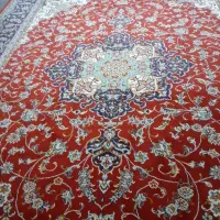 قالی ۱۲متری