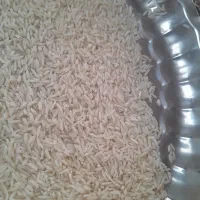برنج هاشمی