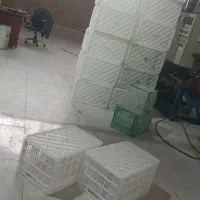 سبد میوه