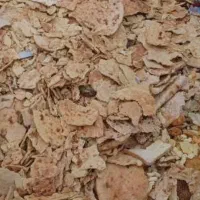 نون خشکه و کاه گندم