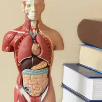 زیست شناسی کنکور و تقویتی