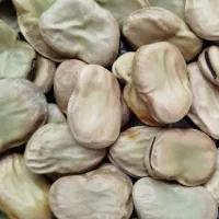 باقلا باقالی