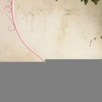 قفس بزرگ|لوازم جانبی حیوانات|شاهرود, |دیوار