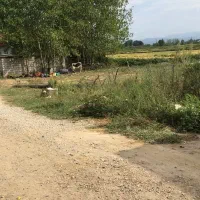 زمین-مسکونی-به-متراژ-500-متر-شمال