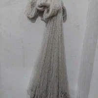 کور سالی