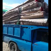 قالیشویی پاکان