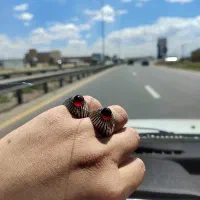 علی پاشا