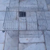 قفس پرنده