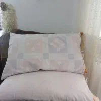 بالشت پر نو