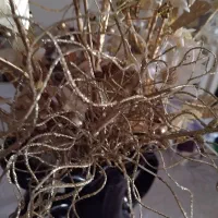 گل مصنوعی