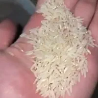 فروش برنج هاشمی واقعی ۳۶۹  تومان