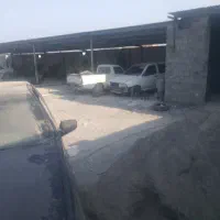 نیازمند صافکار