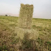 خرید و فروش انواع محصولات کشاورزی