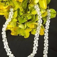 ست بابونه وکارتیروماه وستاره وماری وعروس دریایی