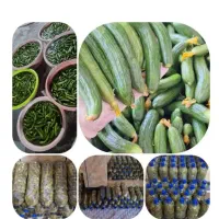 خوردنی و اشامیدنی