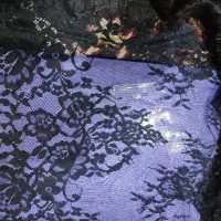 دانتل فرانسه وعبا