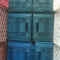 جعبه گوجه 20 کیلویی
