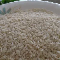 برنج کامفیروز