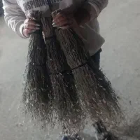 جارودستی طبیعی