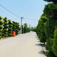 زمین-برندترین-منطقه-شهرک-200-300-متری-8