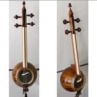 کمانچه کاسه گردو دسته استخوان با سیم پیراسترو سبز