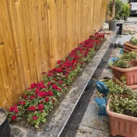 خدمات باغبانی هرسکاری سمپاشی گلکاری آبیاری قطری یی