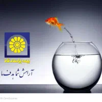 جذب بیمه پاسارگاد