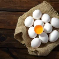 پخش تخم مرغ گرید A از تولیدی