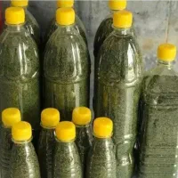 سبزی خشک معطر شمال