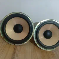 باند خانگی