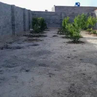 باغچه