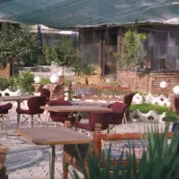 باریستا و ظرف شور