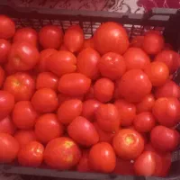 گوجه باغی تازه