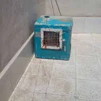 کولر