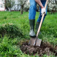 باغبان با سابقه کارتمیز انجام میدم خودم کشاورزم