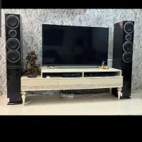 یک جفت باند مکرولب سالم