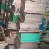 کندو|لوازم جانبی حیوانات|بروجرد, |دیوار