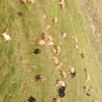 جعفرآباد مغان