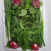 پاک کردن انواع سبزی