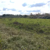 فروش زمین/ 2000 متر/ زیر قیمت منطقه