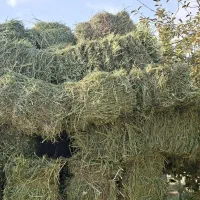 فروش پرس یونجه