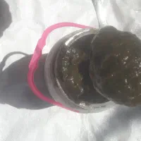 رب آلو ترش جنگلی و خانگی